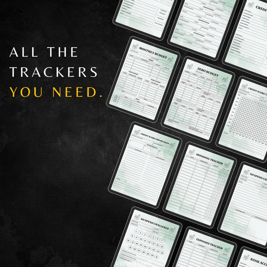 Budget Planner with PLR & MRR, Canva Templates, Money Management Tools, Digital Budget Planner, PLR Budget Trackers, Plr Planners Product