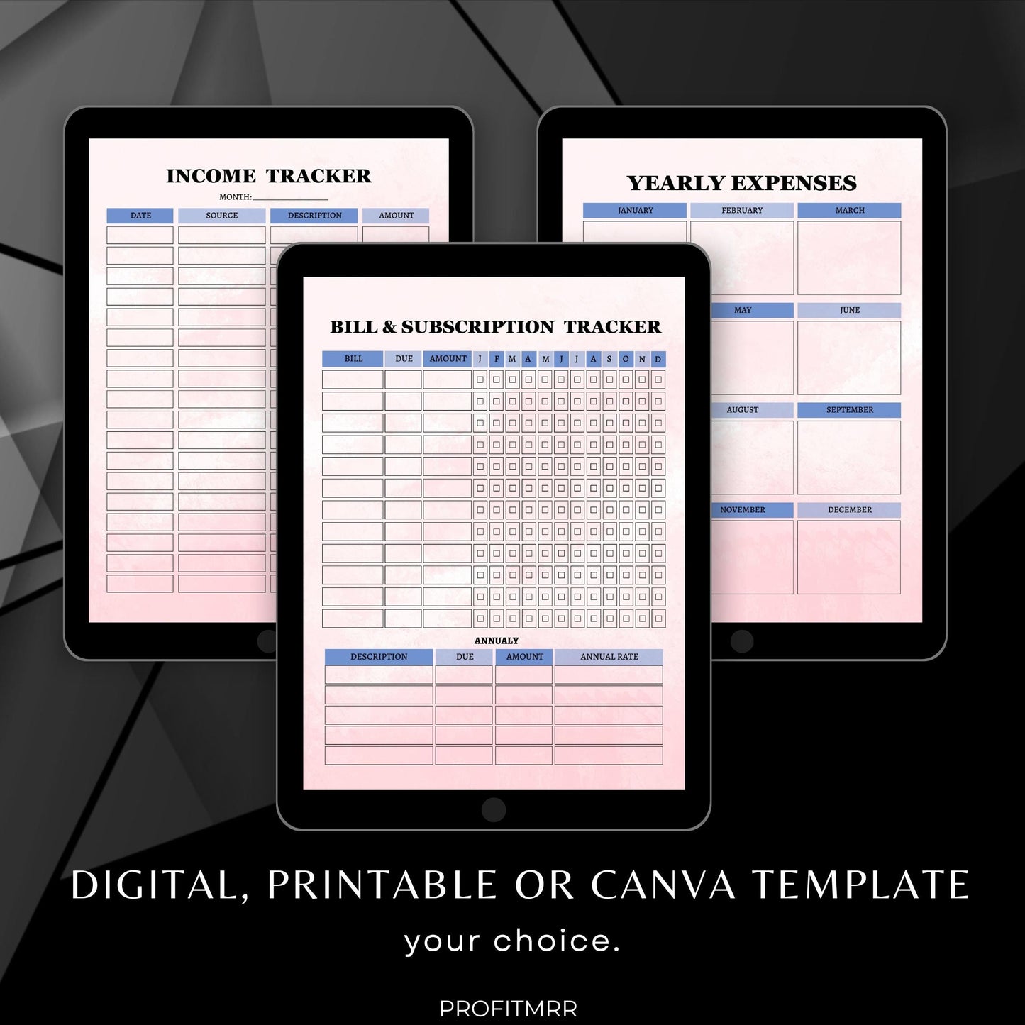 2025 Financial Planner PLR & MRR, Canva Templates, Money Management Tools, Savings Tracker Plr, PLR Budget Trackers, Plr Planners Product