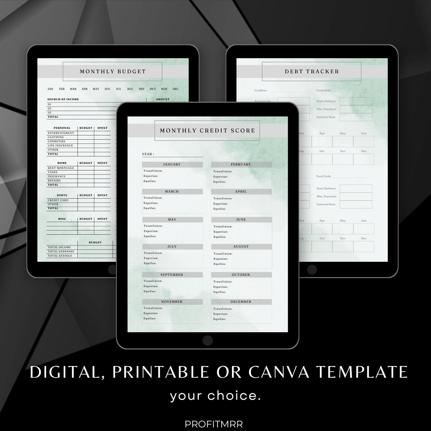 Credit Trackers PLR MRR, Financial Planner, Accounts Tracker, Plr Planners, Finance Log, Money Tracker Templates, Business Finance Planner