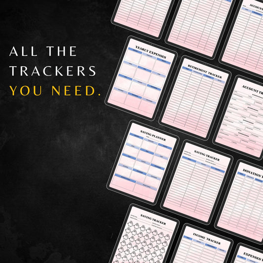 2025 Financial Planner PLR & MRR, Canva Templates, Money Management Tools, Savings Tracker Plr, PLR Budget Trackers, Plr Planners Product