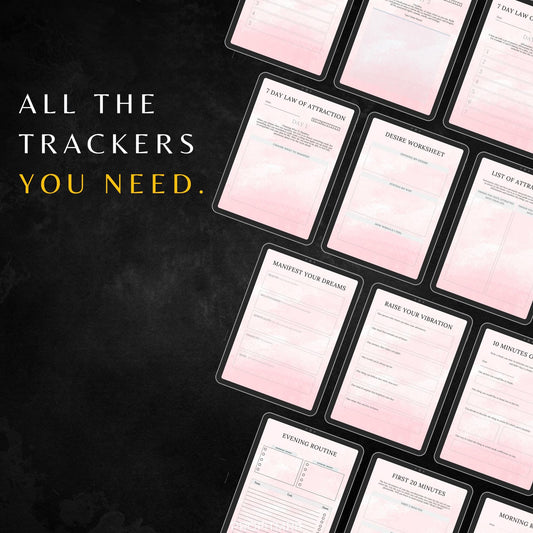 Law of Attraction Planner PLR & MRR, Canva Templates, Self Care Journal, Habit Tracker, Daily Gratitude, Digital Planners, Plr Planners Mrr