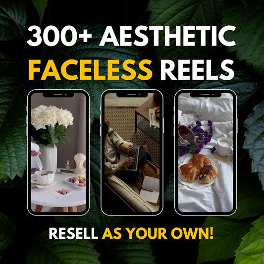 300+ Faceless Aesthetic Reels Plr Mrr, IG Reels, Faceless Instagram Videos, High Quality Aesthetic Videos, Tiktok Reels,Mrr Digital Products