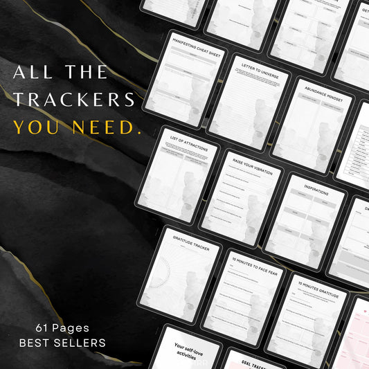 Premium Manifestation Planner with PLR & MRR, Canva Templates, Self Care Journal, Habit Tracker, Daily Gratitude, Digital Planners