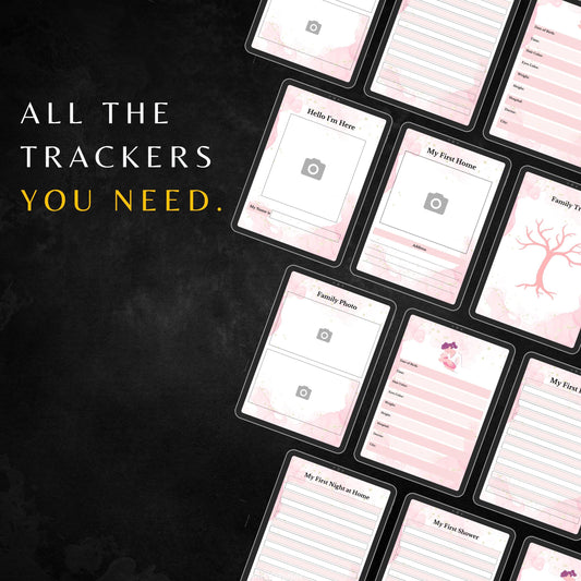 3 Pregnancy Planners PLR & MRR, Pregnancy Journal, Newborn Journal, Baby Journal, Plr Planners, Plr Prorducts, Busy Mom Planner, Mom Journal