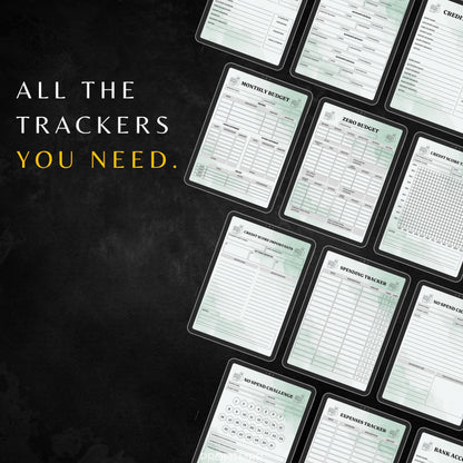 Budget Planner with PLR & MRR, Canva Templates, Money Management Tools, Digital Budget Planner, PLR Budget Trackers, Plr Planners Product