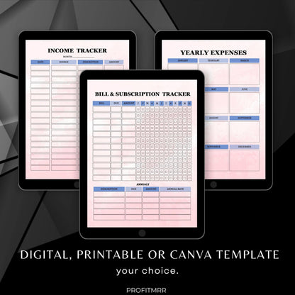 2025 Financial Planner PLR & MRR, Canva Templates, Money Management Tools, Savings Tracker Plr, PLR Budget Trackers, Plr Planners Product