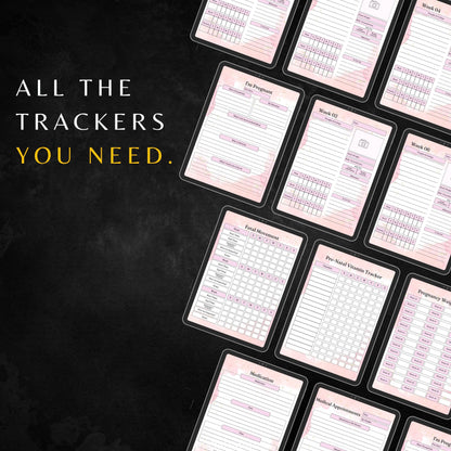 My Pregnancy Journal PLR & MRR, Pregnancy Tracker, Plr Canva Templates, Self Care Journal, Habit Tracker, Daily Gratitude, Digital Planners