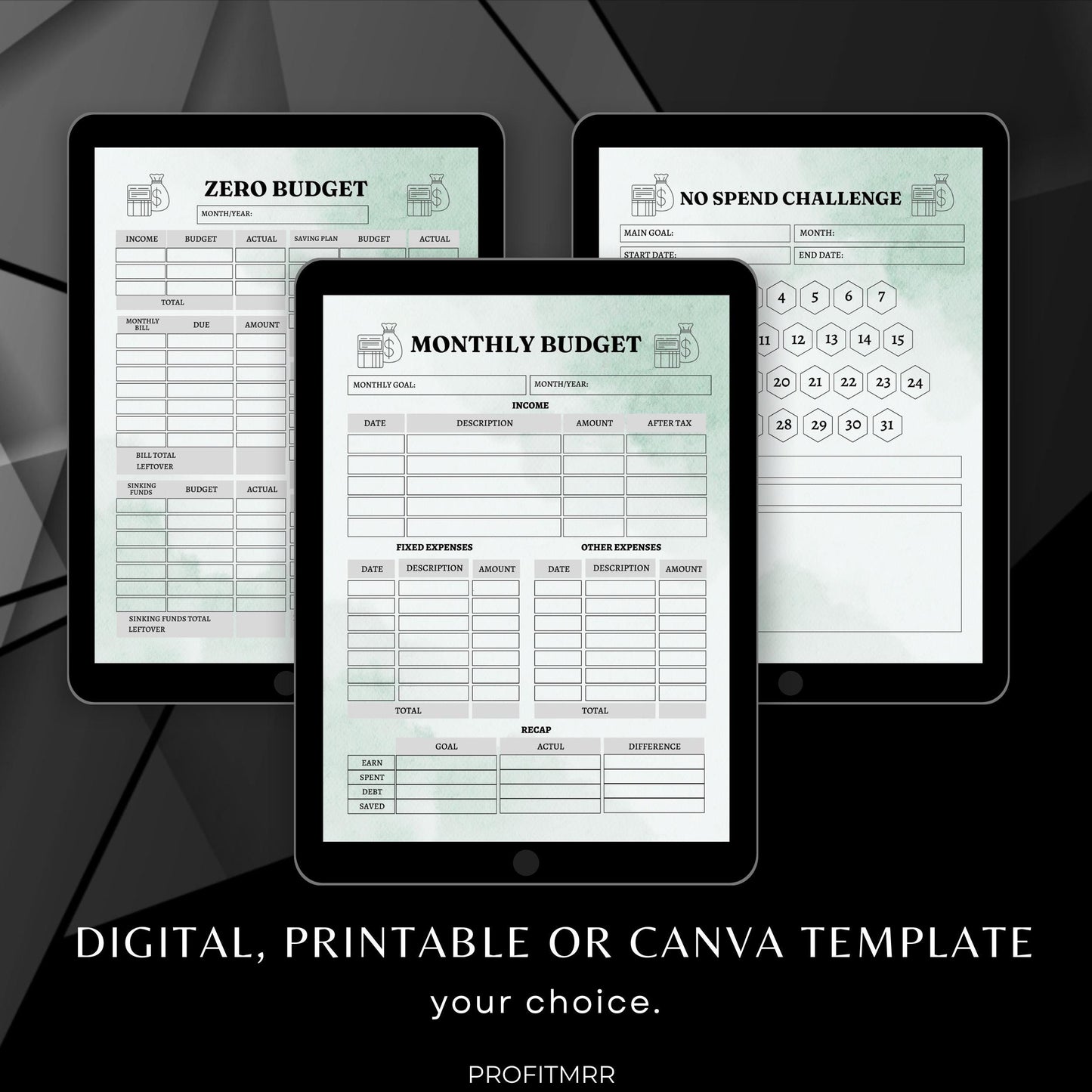Budget Planner with PLR & MRR, Canva Templates, Money Management Tools, Digital Budget Planner, PLR Budget Trackers, Plr Planners Product