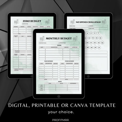 Budget Planner with PLR & MRR, Canva Templates, Money Management Tools, Digital Budget Planner, PLR Budget Trackers, Plr Planners Product