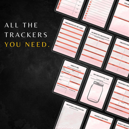 Gratitude Journal 2025 PLR & MRR, Canva Templates, Self Care Journal, Habit Tracker, Daily Gratitude, Digital Planners, Plr Planners Product