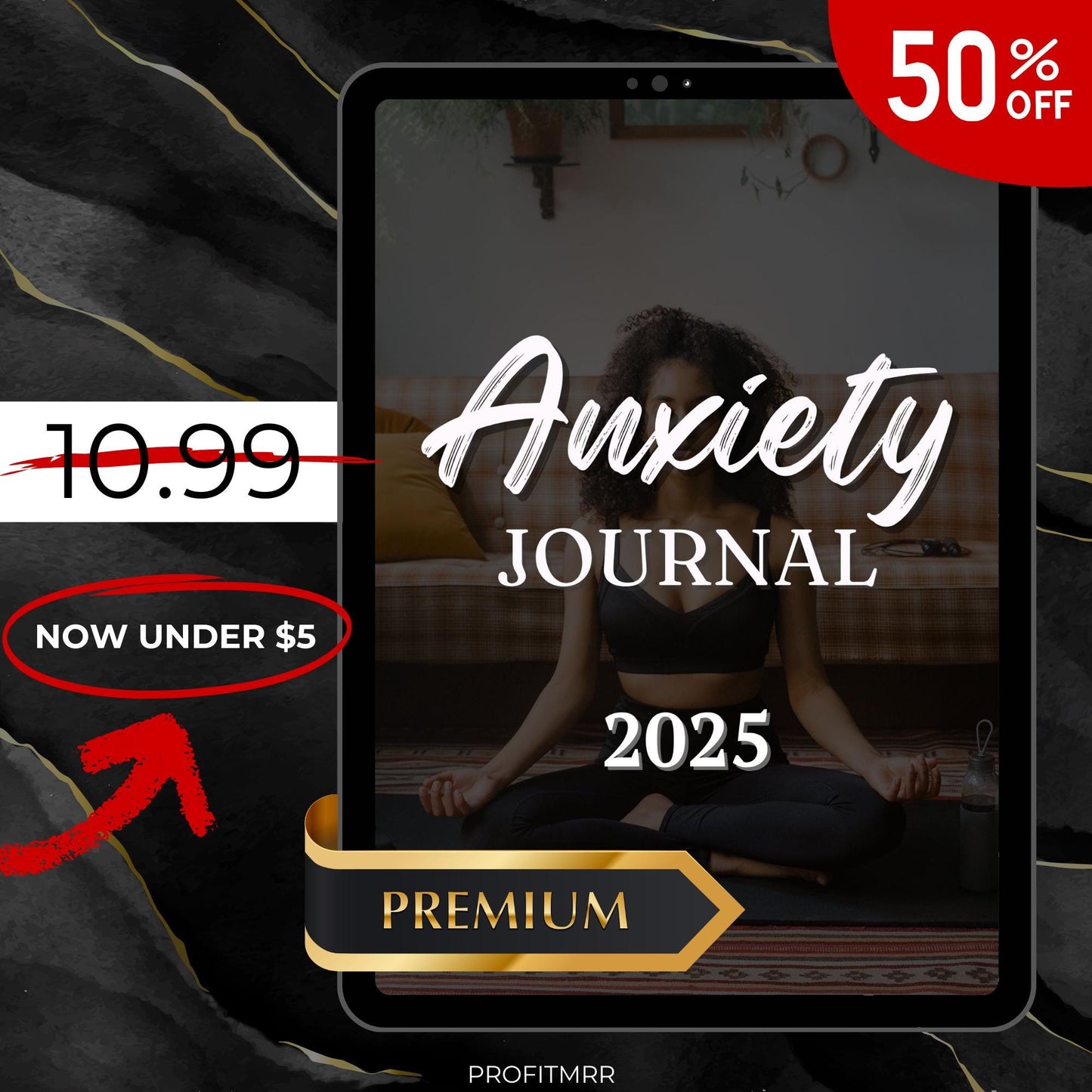 2025 Anxiety Depression Journal PLR & MRR, Canva Templates, Self Care Journal, Habit Tracker, Daily Gratitude, Plr Planners, Digital Planner