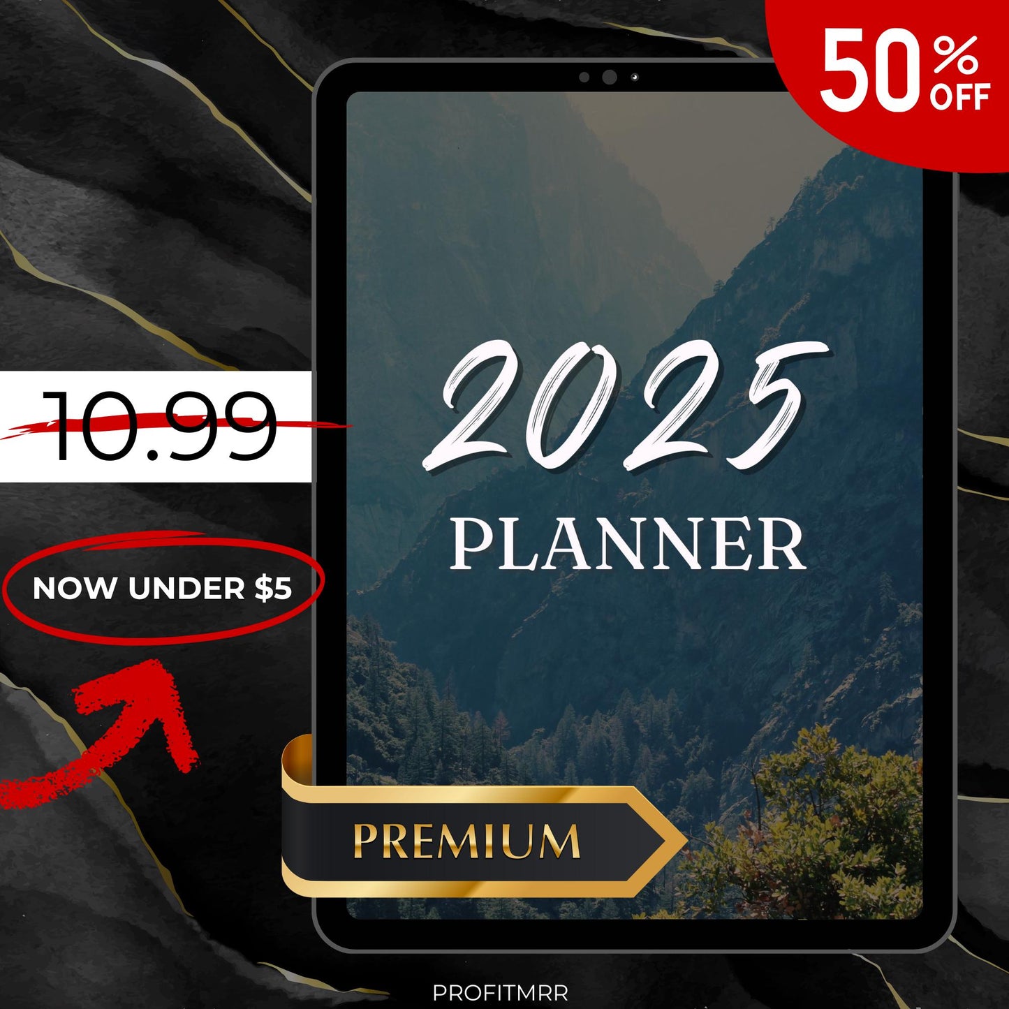 2025 Planner PLR MRR, Canva Templates, Weekly Planner,Monthly Planner, Plr Planners, Vision Board,Password Tracker,To do List,Yearly Planner