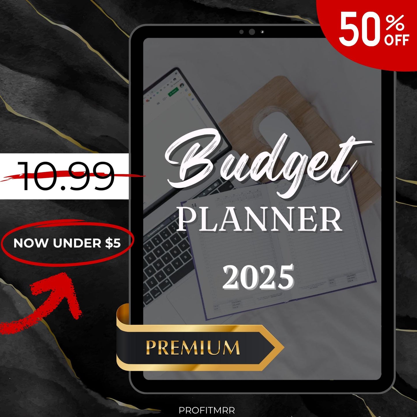 2025 Budget Planner PLR & MRR, Canva Templates, Daily Planner, Financial Planner, Plr Planners, Budget Tracker,Finance Tracker,Family Budget