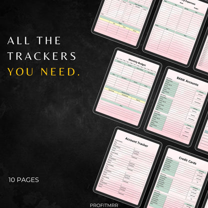 2025 Budget Planner PLR & MRR, Canva Templates, Daily Planner, Financial Planner, Plr Planners, Budget Tracker,Finance Tracker,Family Budget