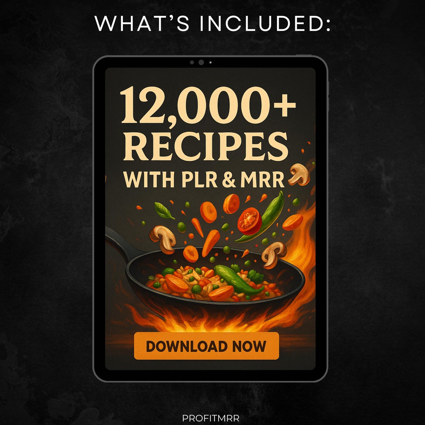 Fitness Influencer Mega Bundle 2025, 700+ Gym Reels, 12,000 Recipes, 25 Canva Templates, Plr products, Business Kit PLR MRR Digital Download