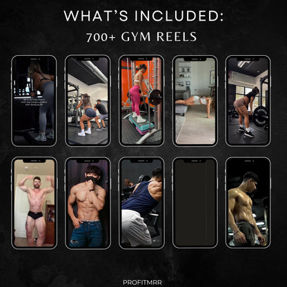 Fitness Influencer Mega Bundle 2025, 700+ Gym Reels, 12,000 Recipes, 25 Canva Templates, Plr products, Business Kit PLR MRR Digital Download